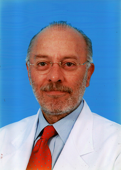 Luis Nualart Hernández